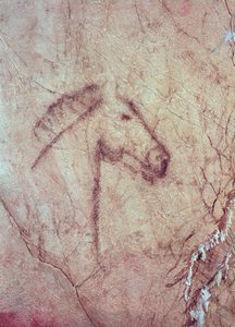 Hevosen pää, Cueva de la Pena de Candamo San Roman (luolamaalaus)