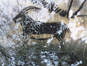Vuohi tai säämiskä, kalliomaalaus Mustassa huoneessa, Magdalenian (luolamaalaus)