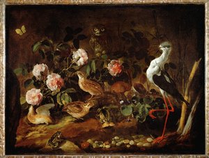 Still-elämä pöllön ja iibiksen kanssa - Nature morte avec une chouette et un ibis ...