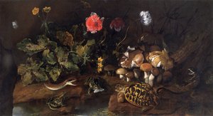 "Asetelma käärmeen, sammakoiden, kilpikonnan ja liskon kanssa", 1656-1673