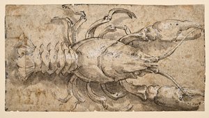 Rapu (recto) tekijältä Parmigianino