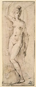 Naishahmo - tutkimus Santa Maria della Steccatalle, Parma (recto) tekijältä Parmigianino