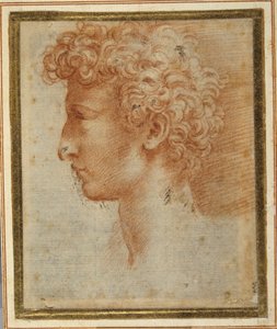 Nuoren miehen profiili (punainen liitu valkoisella paperilla) tekijältä Parmigianino