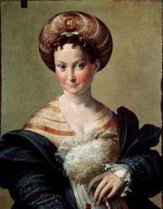 Francesco Mazzola Il Parmigianinon suosikki tai turkkilainen orjamaalaus nimeltä Parmesan (1503-1540) 1530 noin. Su. 67x53 cm Parma, Kansallisgalleria tekijältä Parmigianino