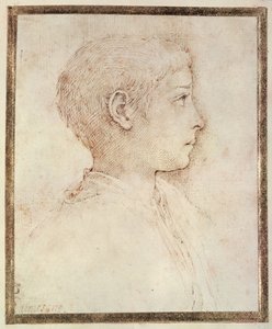 Pojan pää tekijältä Parmigianino