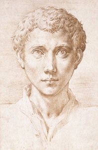 Nuoren miehen pää, joka katsoo ylös, tekijältä Parmigianino