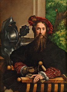 Galeazzo Sanvitalen muotokuva, 1524. tekijältä Parmigianino