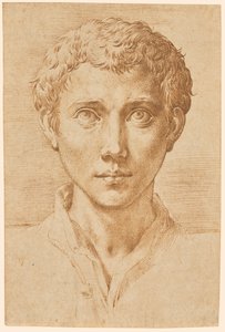 Nuoren miehen pää tekijältä Parmigianino