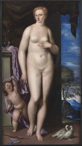 Venus ja Cupid tekijältä Parrasio Micheli