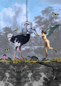 Surrealistinen strutsien enkelien unelma