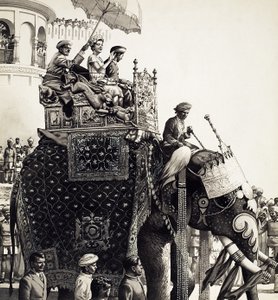 Kuningatar Elisabet II norsun selässä (guassi)