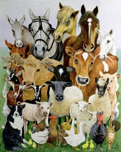 Animal Allsorts (akryyli kalikolle) tekijältä Pat Scott