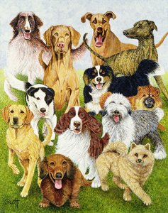 Dog Days (öljy kankaalle) tekijältä Pat Scott