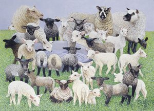 Feeling Sheepish (öljy kankaalle)