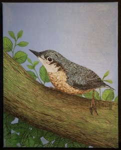 Pähkinähakki, 2016 tekijältä Pat Scott