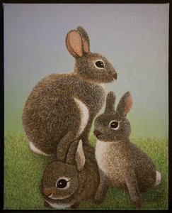 Rabbit Family, 2016 tekijältä Pat Scott