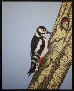 Punatulkku, 2016