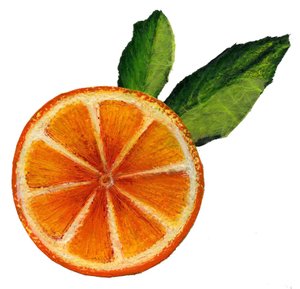 Hedelmä, 2021 (akryyli paperille) tekijältä Patrizia La Porta