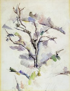 Tammi tekijältä Paul Cézanne