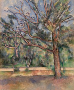 Puut ja tie (Arbres et route) tekijältä Paul Cézanne