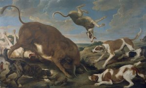 TORO ATACADO POR PERROS – SIGLO XVII – LIENZO 210 × 346 cm – BARROCO FLAMENCO