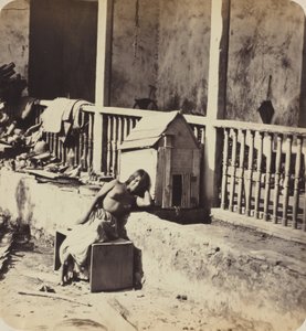 Koira Garvelista (Martinique),1870-luku (kuva) tekijältä Paul Emile Miot