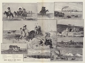 Puhvelinmetsästys Pohjois-Amerikassa
