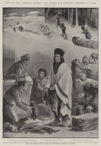 Turkikset Euroopan markkinoille, Hudson Bay Companyn Trappers at Work