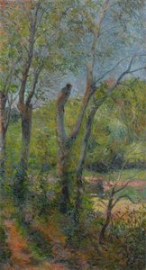 Ranskalainen:  Les Saules Willows tekijältä Paul Gauguin