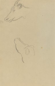 Lehmän pää [recto] tekijältä Paul Gauguin