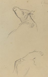 Kaksi lehmän päätä [käänteinen] tekijältä Paul Gauguin