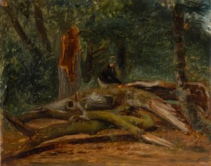 Olen Wald von Villers-Cotterets