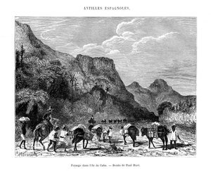 Maisema Kuuban saarella, 1800-luku