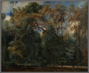 Die Ulmen von Saint-Cloud