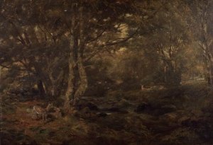 Metsän läpi, Pont-y-Gytyn, Pohjois-Wales