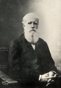 Dom Pedro , Brasilian keisarin muotokuva (kuva) tekijältä Paul Nadar