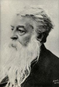 Ernest Messonnierin muotokuva (kuva) tekijältä Paul Nadar
