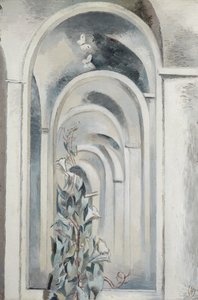 Convolvulus tekijältä Paul Nash
