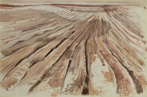 Maa, taivas tekijältä Paul Nash