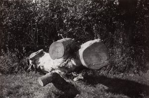 Kohteen etsiminen tekijältä Paul Nash