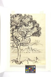 Antibes, Umbrella Pine In The Foreground (Antibes, Pin Pignon Au Premier Plan) (mustalla musteella piirros mustalla kynällä ruskean kudospaperille) tekijältä Paul Signac
