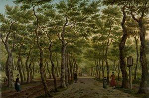 Herepad Haagse Bosissa Scheveningen Woods lähellä Haagia tekijältä Paulus Constantijn la Fargue (signed by artist)