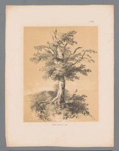 Puomi Paulus Lautersin maalaukselliset kasvot (sarjan nimi) Etrennes pittoresques pour 1839, kirjoittanut Lauters (sarjan nimi)