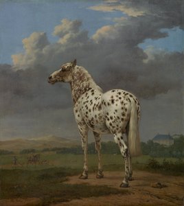 Piebald Horse, noin 1654