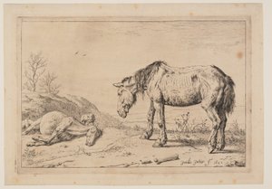 Kulunut hevonen, (La Mazette), sarjasta Hevoset (Series of Horses). tekijältä Paulus Potter