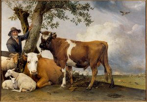 Nuori härkä Paimen ja hänen karjansa, veli, lammas, lehmä ja härkä. Paul Potterin (1625-1654) maalaus 1647 Su. 2,36x3,39 m Haag. Mauritshuis