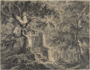 Woodland Streamin rauniot
