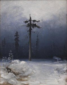 Puu talviisessa metsässä