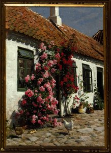 Kletterrosen am Bauernhof tekijältä Peder Monsted