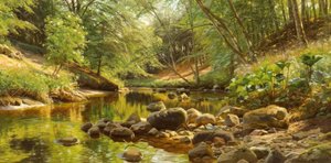 P.Mönsted, Aurinkoinen metsävirta